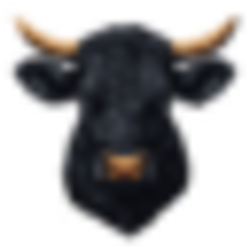 token
